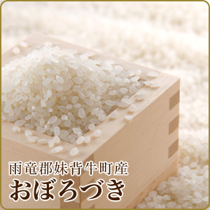 特別栽培米おぼろづき 減農薬 - 農家と契約販売している生産者直送の店